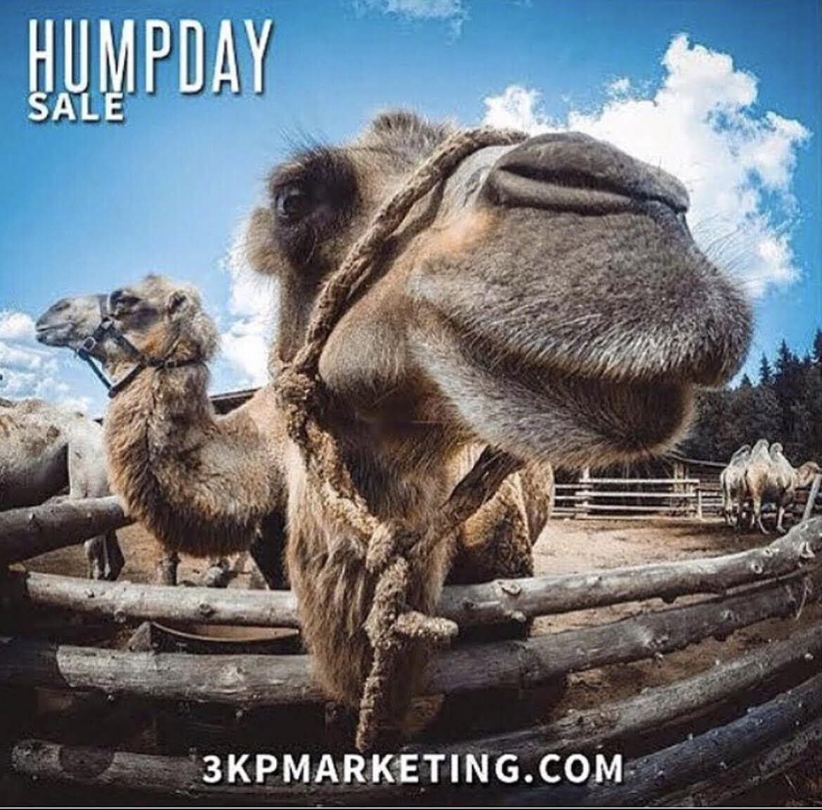 Humpday Sale