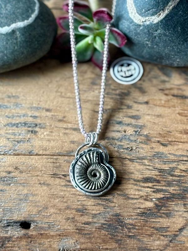 Ammonite ~ Sterling Silver Necklace.