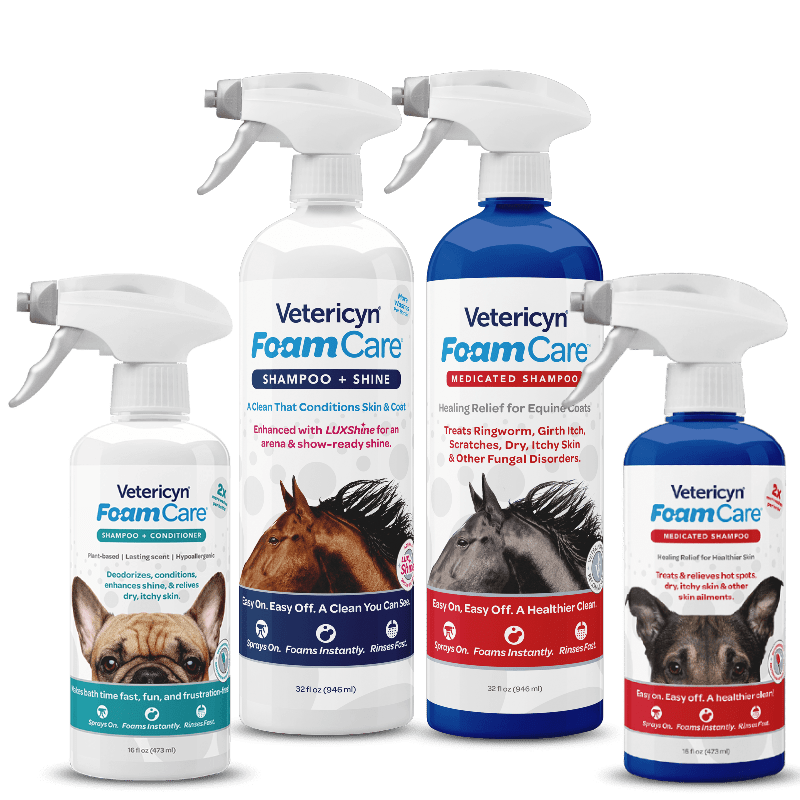 Foamcare® Shampoos