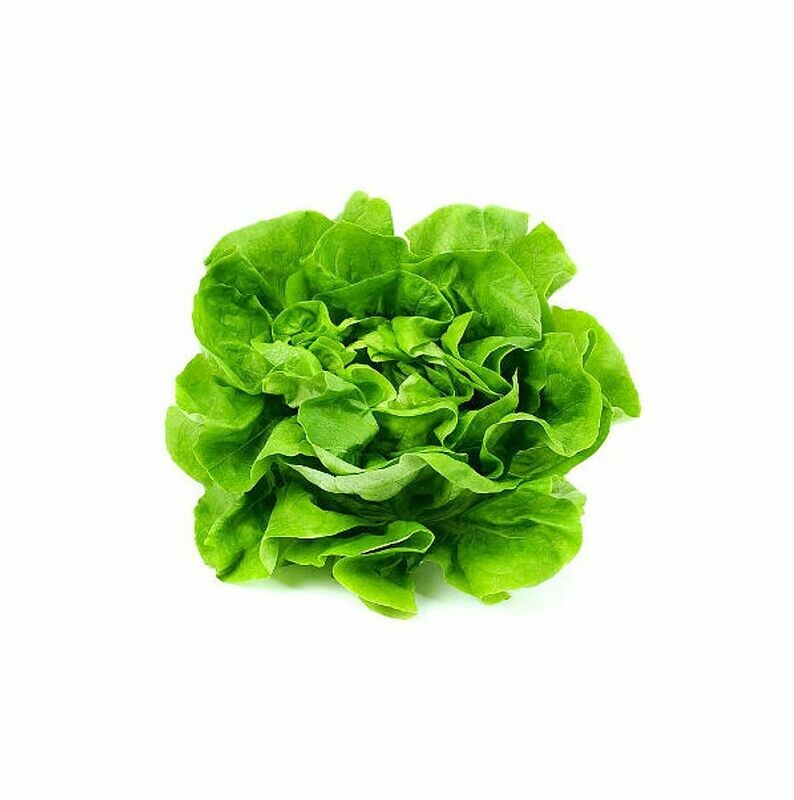 Insalata gentile