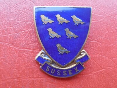 Sussex Pinback Badge