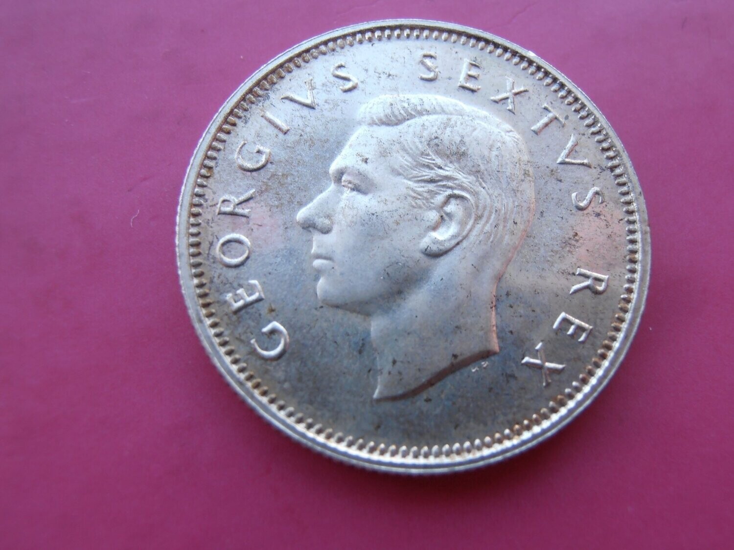 South Africa Shilling  -  1952