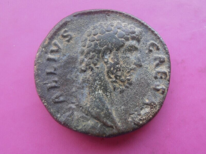 Aelius Caeser  -  Sestertius