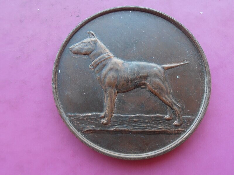 Bull Terrier Club Medal  -  No Date