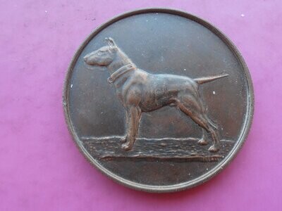 Bull Terrier Club Medal - No Date