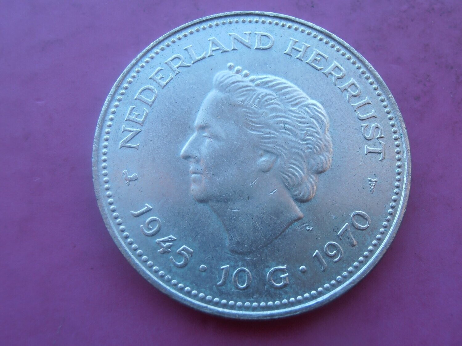 Netherlands 10 Gulden - 1970