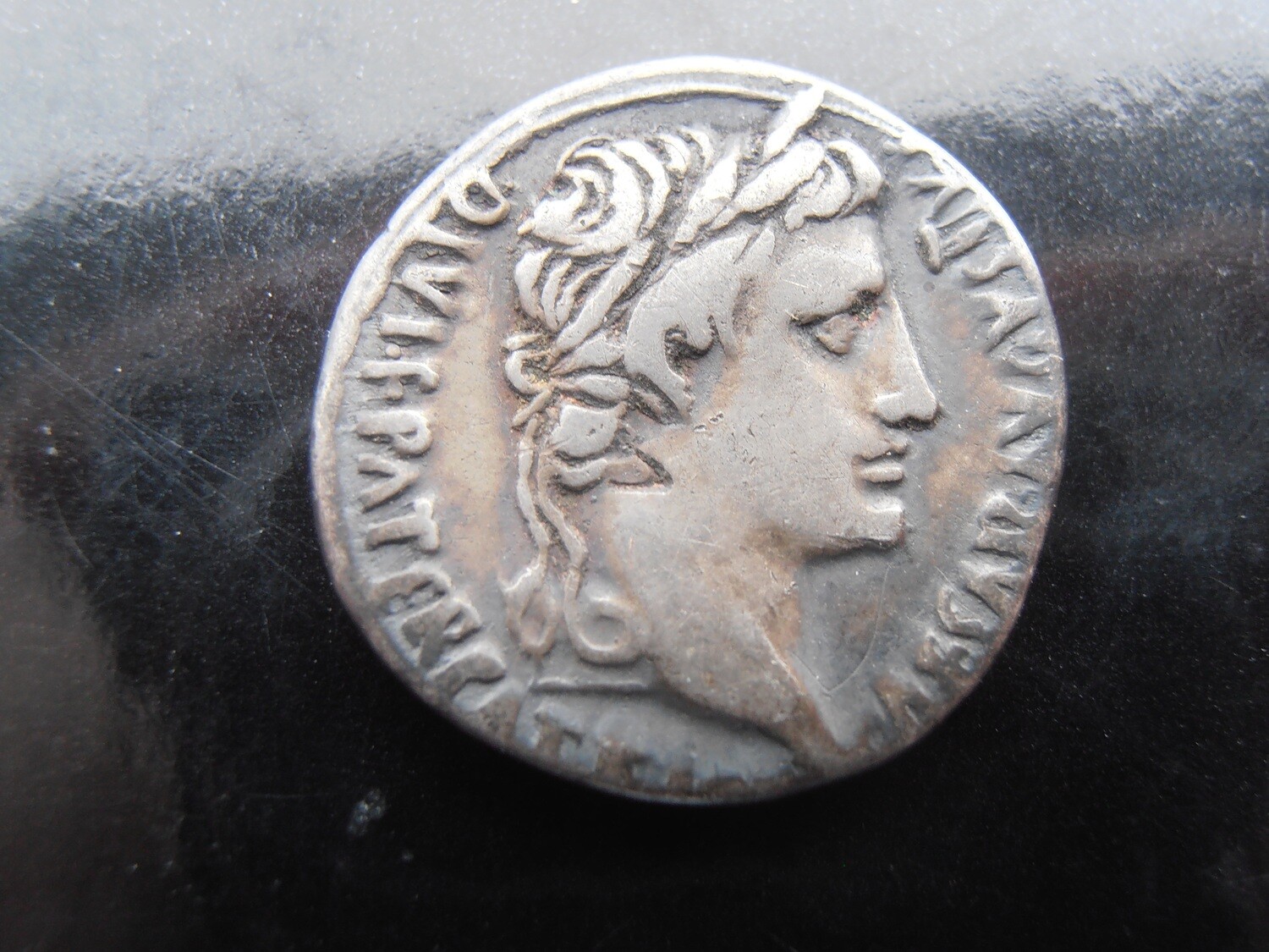 Roman Denarius - 2 BC - 4 AD (Augustus Caeser)