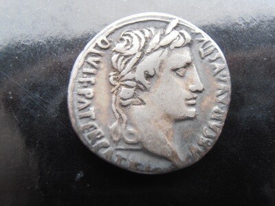 Roman Denarius - 2 BC - 4 AD (Augustus Caeser)
