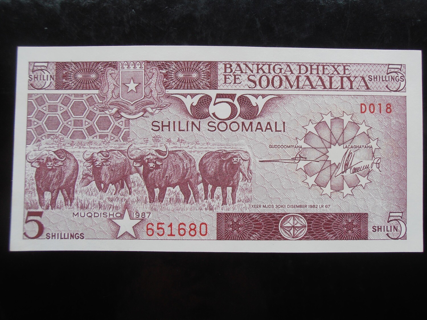 Somalia 5 Shillin -  1987