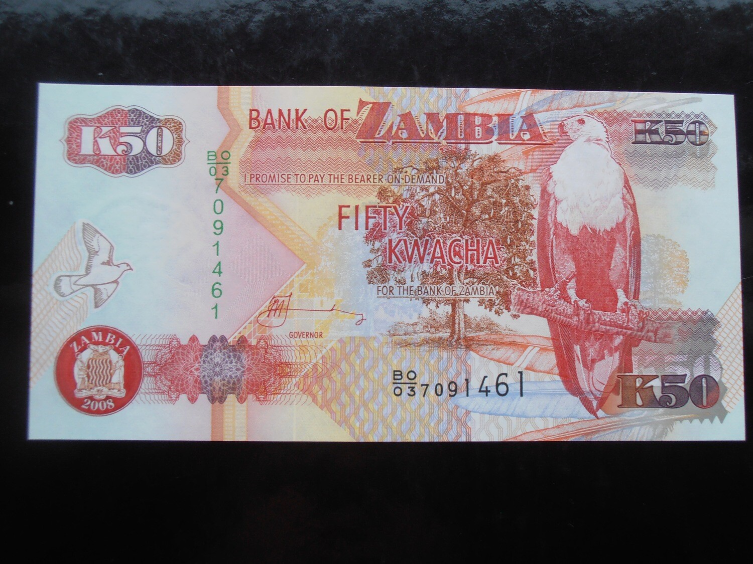 Zambia 50 Kwacha - 2008