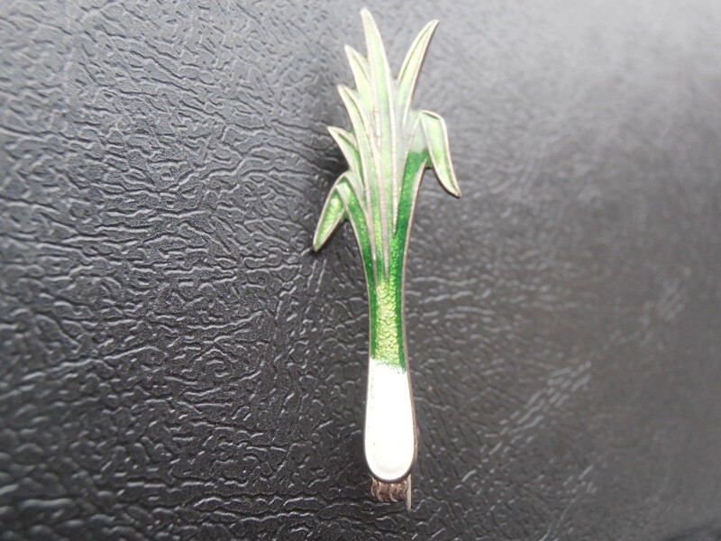 Welsh Leek Silver Pin Badge