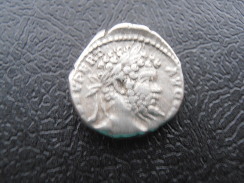 Septimus Severus Denarius - 193-211 AD (a)