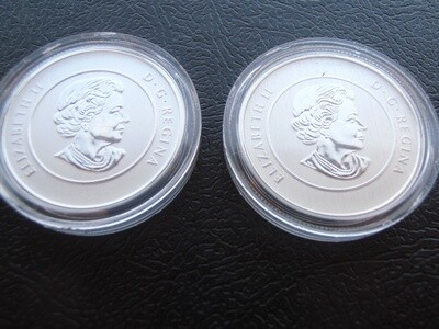 Canada 2012 and 2013 $20 Silver Set (Christmas)