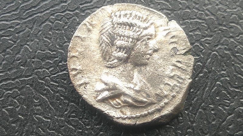 Julia Domna Denarius  -  197 AD (b)