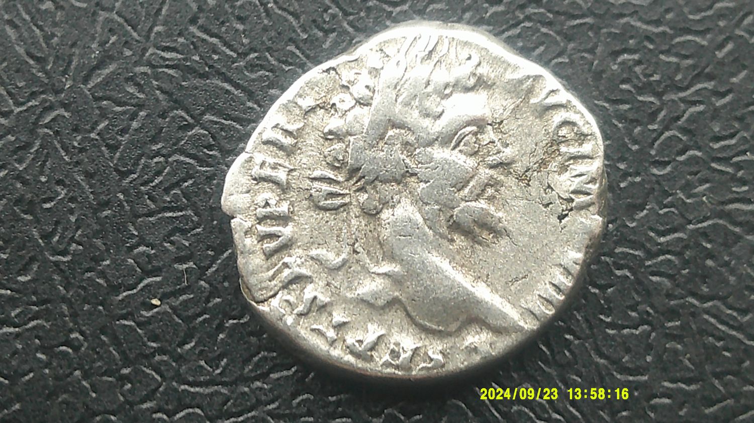 Septimus Severus Denarius - 193 - 211 AD (d)