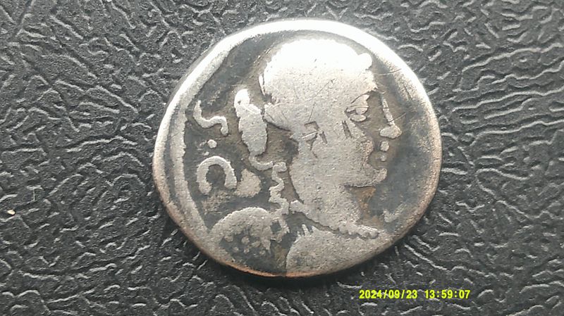 Roman Republic Denarius 46 BC  T Carisius