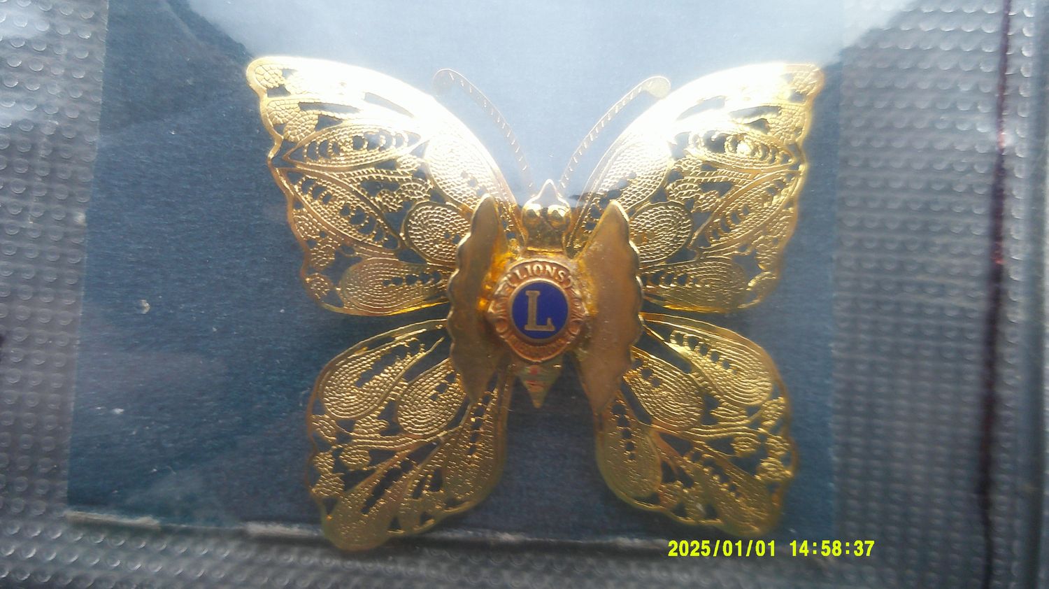 Lions Club Butterfly Brooch