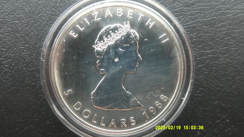 Canada 5 Dollars - 1988 (Maple)  PDHR