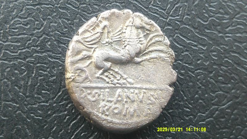 Roman Republic Denarius - 91 BC  (Silvanus)