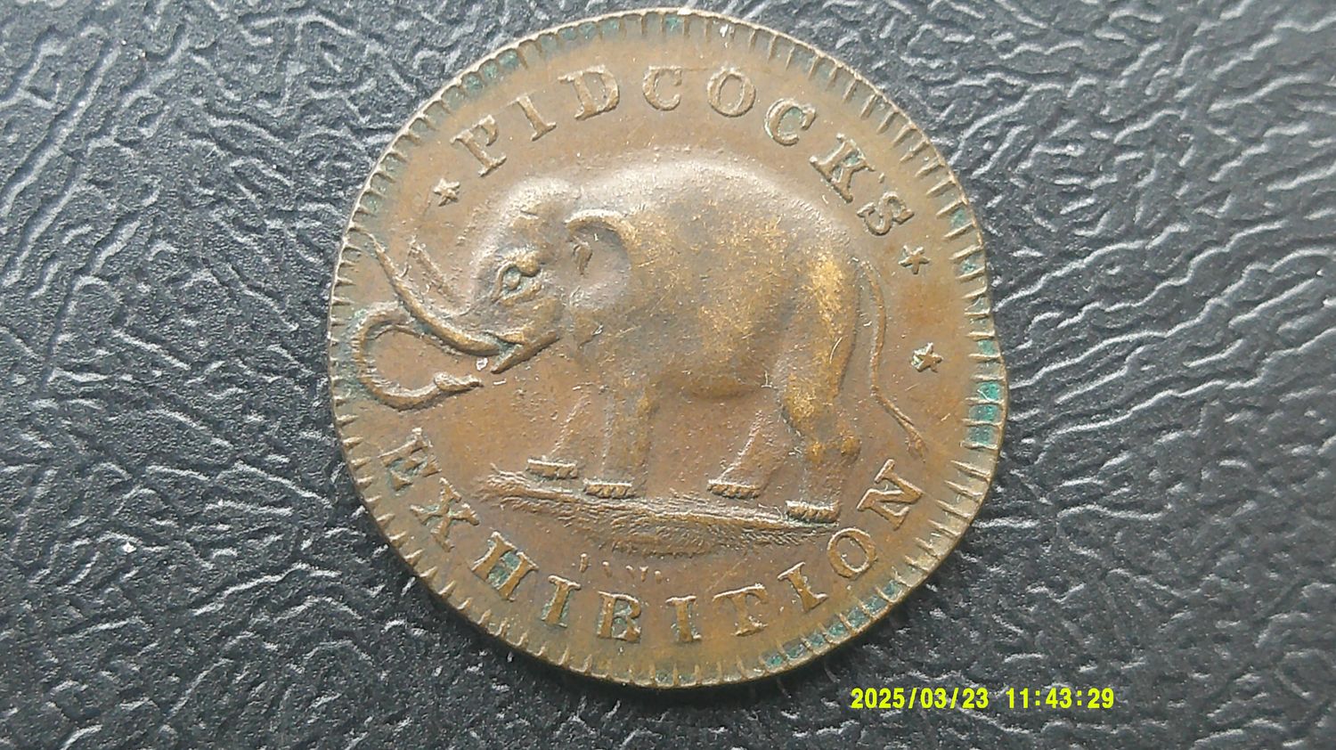 Pidcock Exhibition Farthing Token - ND