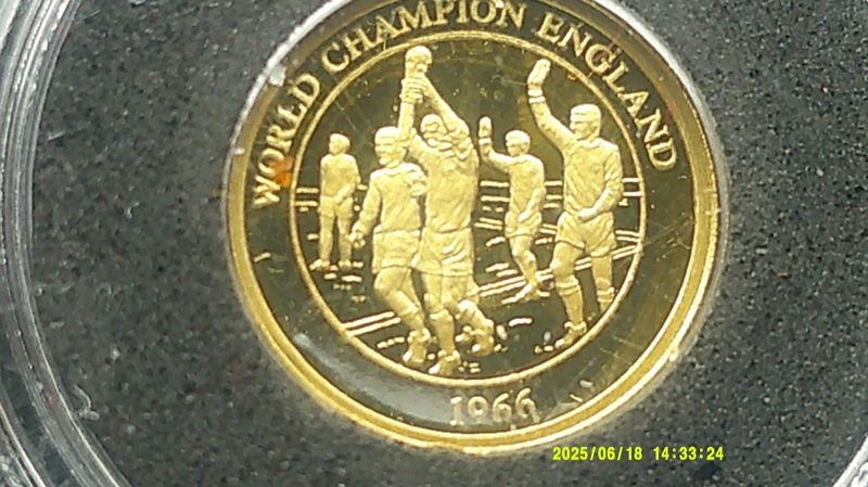 England World Cup Gold Medal - 2010