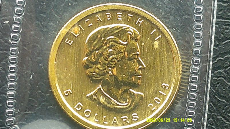 Canada 5 Dollar Gold Maple - 2013