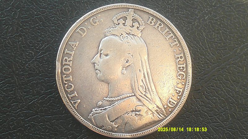 1891  -  Crown