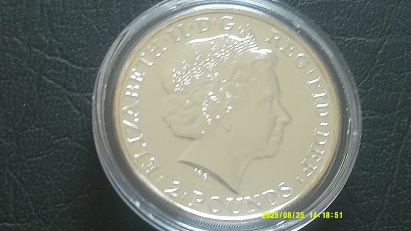 2014 - Two Pounds Fine Silver (Year of the Horse Coloured)