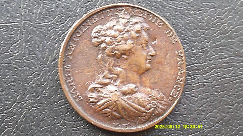Marie Antoinette Death Medal - 1793