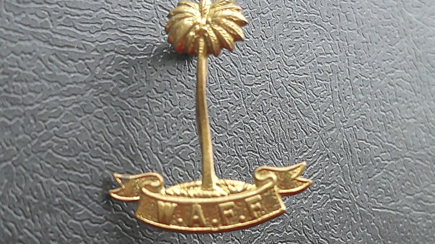 West African Frontier Force Collar Badge 1920s