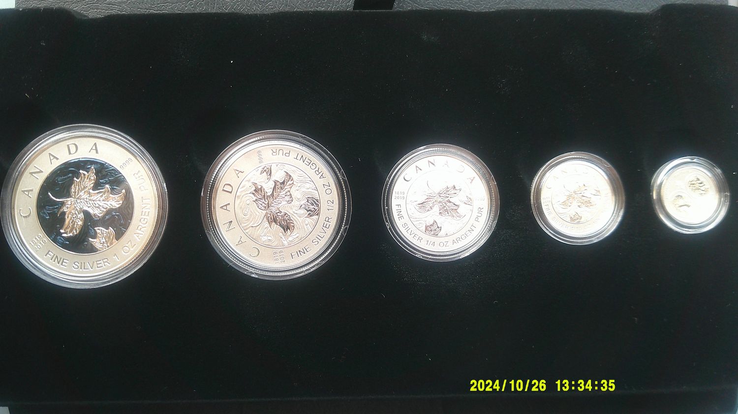 Canada 5 Coin Silver Proof Set  - 2019   ( MRPD)