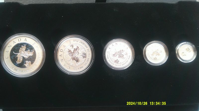 Canada 5 Coin Silver Proof Set  - 2019   ( MRPD)