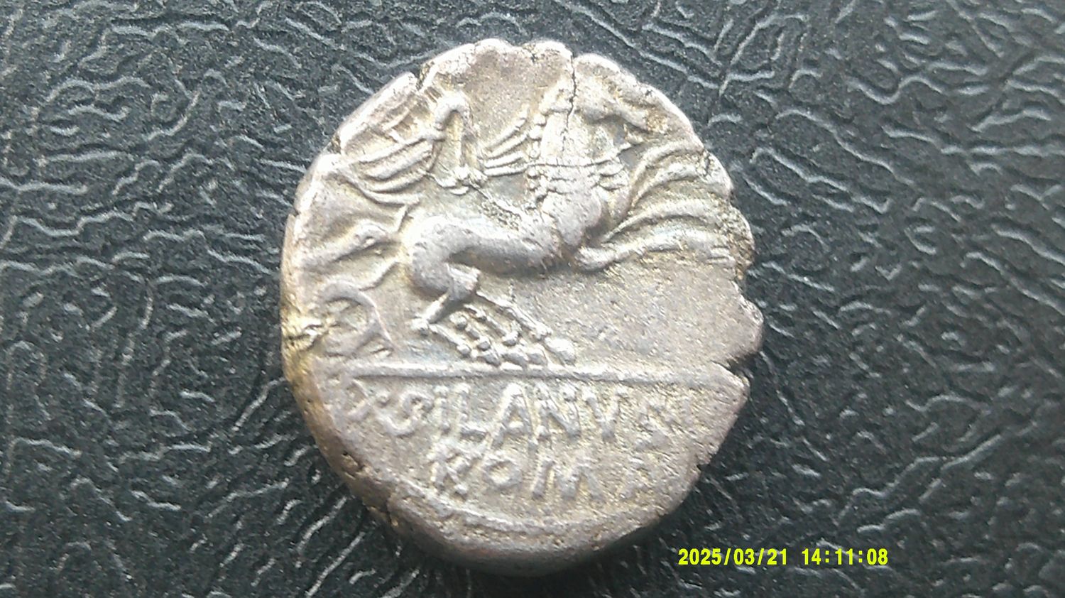 Roman Republic Denarius - 91 BC  (Silvanus)
