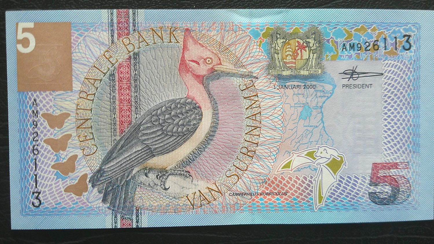 Suriname 5 Gulden - 2000