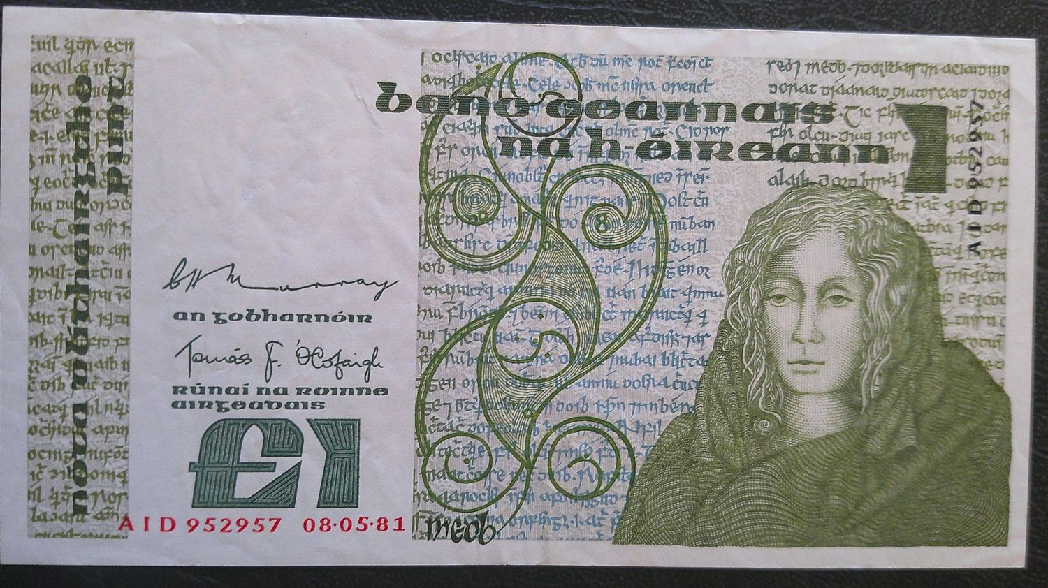 Ireland (Republic) £1 - 1981