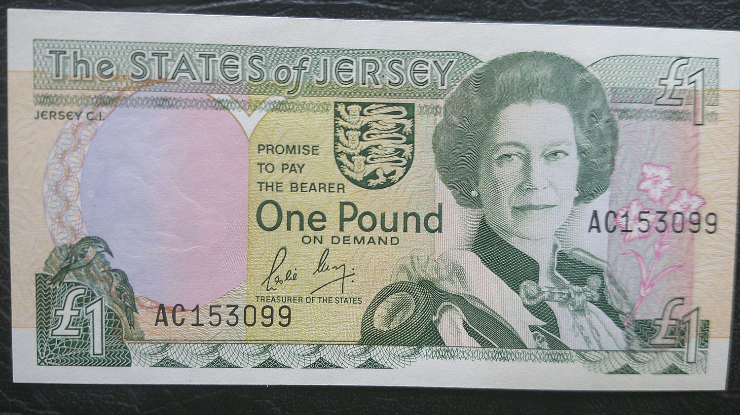 Jersey £1 - 1989  (May)