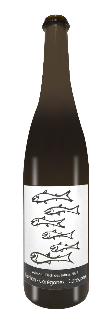 Der Wein zum Fisch des Jahres 2022 (Preis pro Karton à 6 Flaschen, inkl Portokosten)