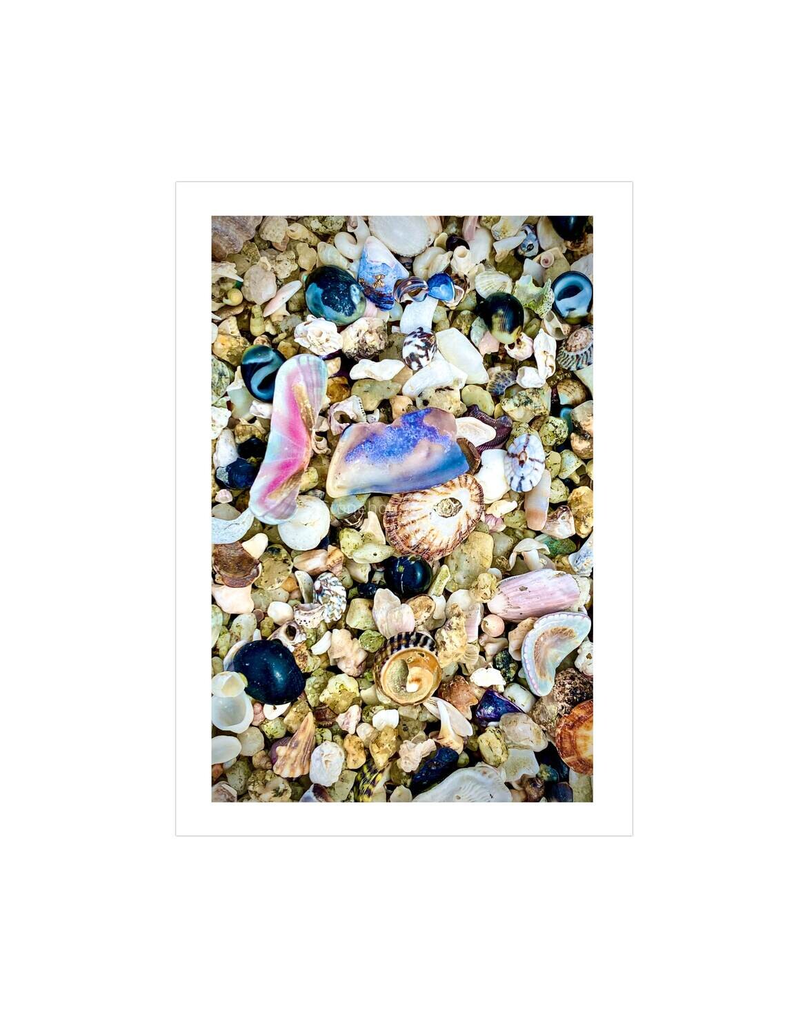 Ocean Treasure