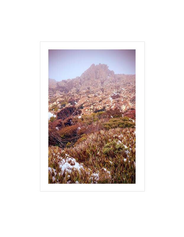 Hartz Mountainscape