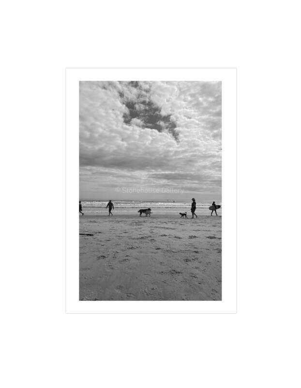 Summer Days Redbill