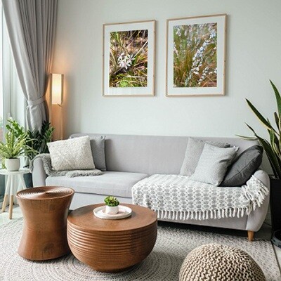 Tricks to decorating on a budget