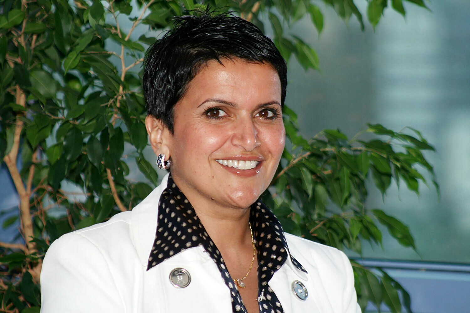 HASHEM (AL) Safa , Advantage Consulting , Founder