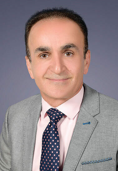 SAFAR Adel , Managing Director    Vision International Computer