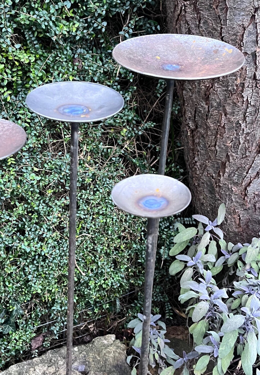 Trio of dish flower Bee/insect water stations