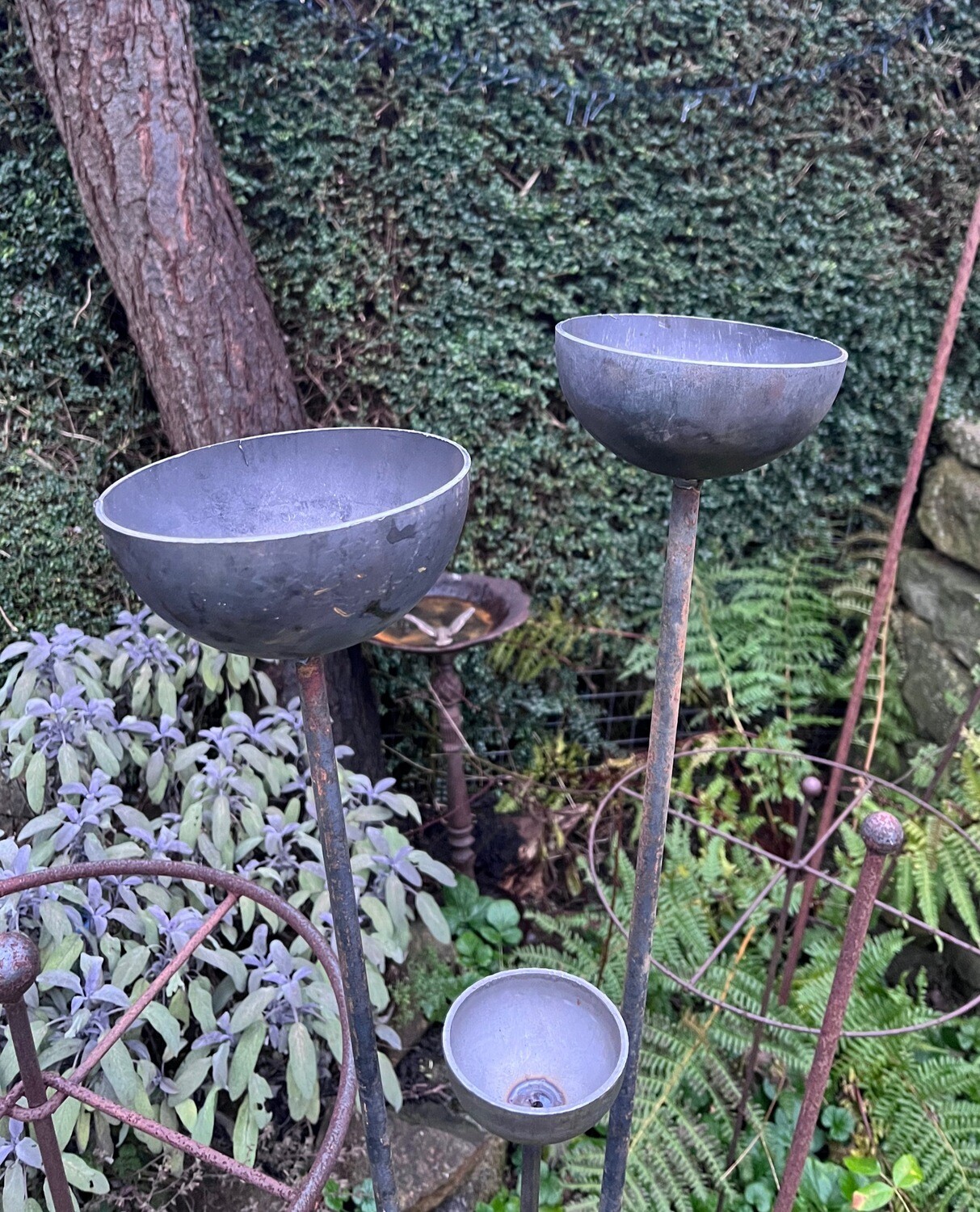 Trio of Bowl flower Bee/insect water stations