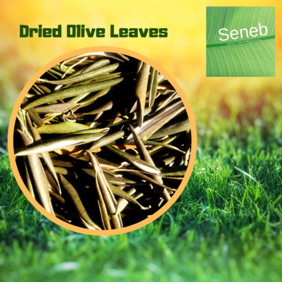 Dried Olive Leaf