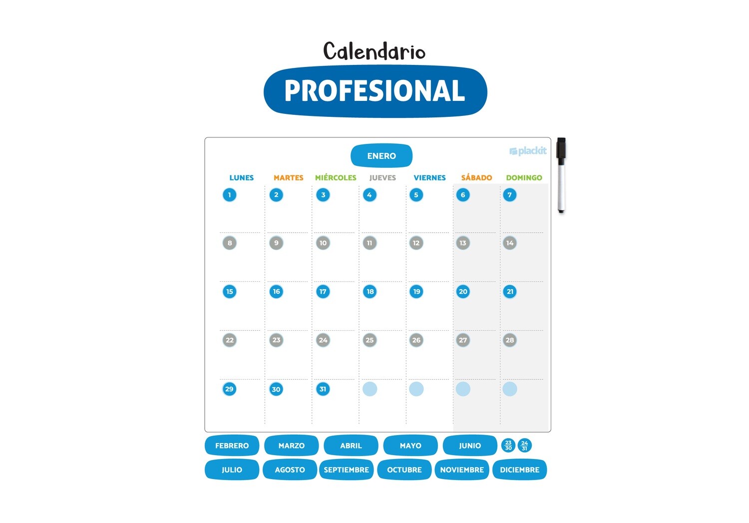 Plackit Calendario Magnético Profesional  (Meses + Días)