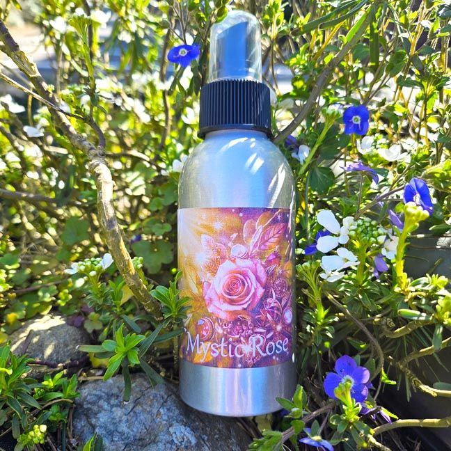 Mystic Rose Spray