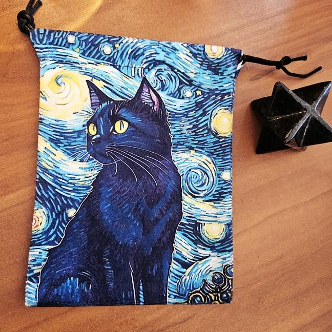 🐈‍⬛​Van Gogh Cat Pouch 5x7