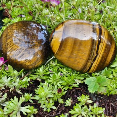 🐅Tiger Eye Palm Stone